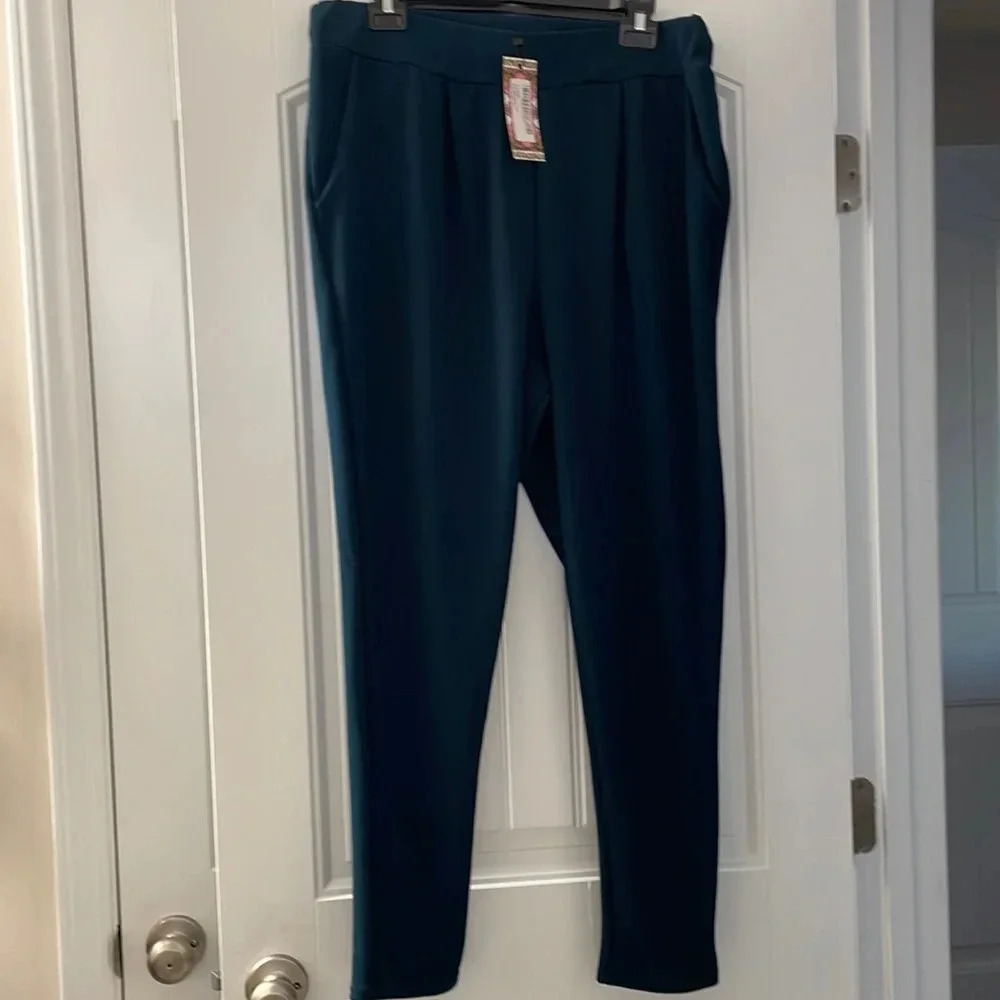NWT Pleat Front Trouser size 16